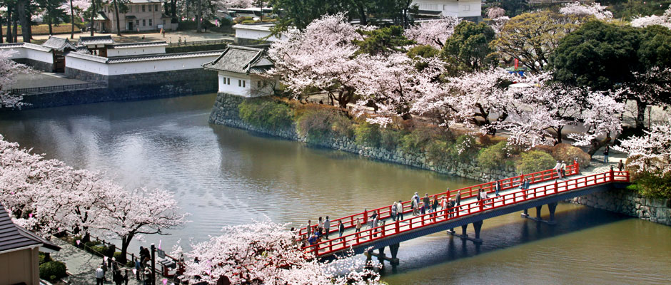 小田原城のお堀と桜と赤い橋