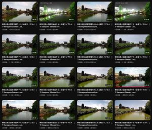 小田原ライブカメラ 小田原城のお堀と桜と赤い橋（学び端）の様子をライブ配信